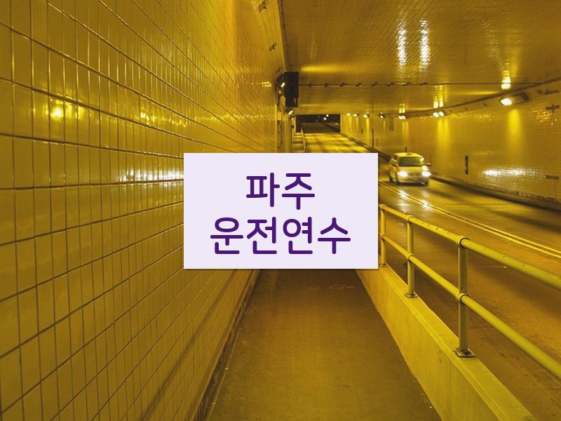 파주운전연수 후기