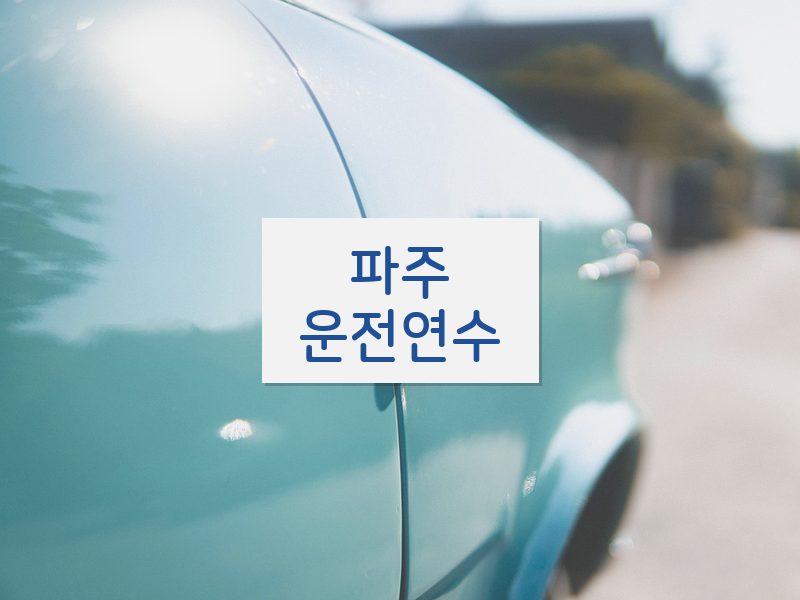 파주운전연수 후기