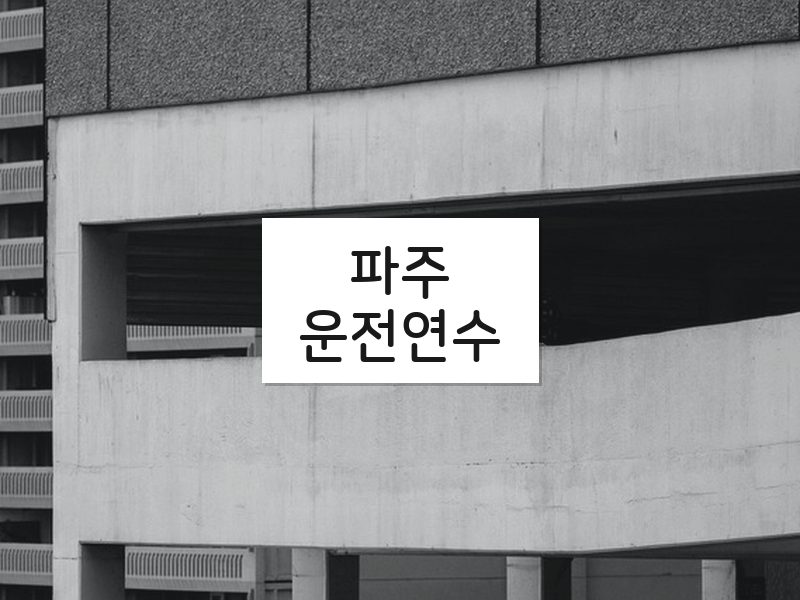 파주운전연수 후기
