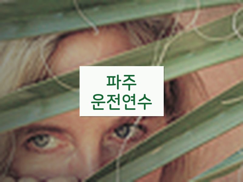 파주운전연수 후기