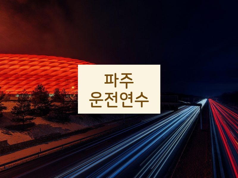파주운전연수 후기