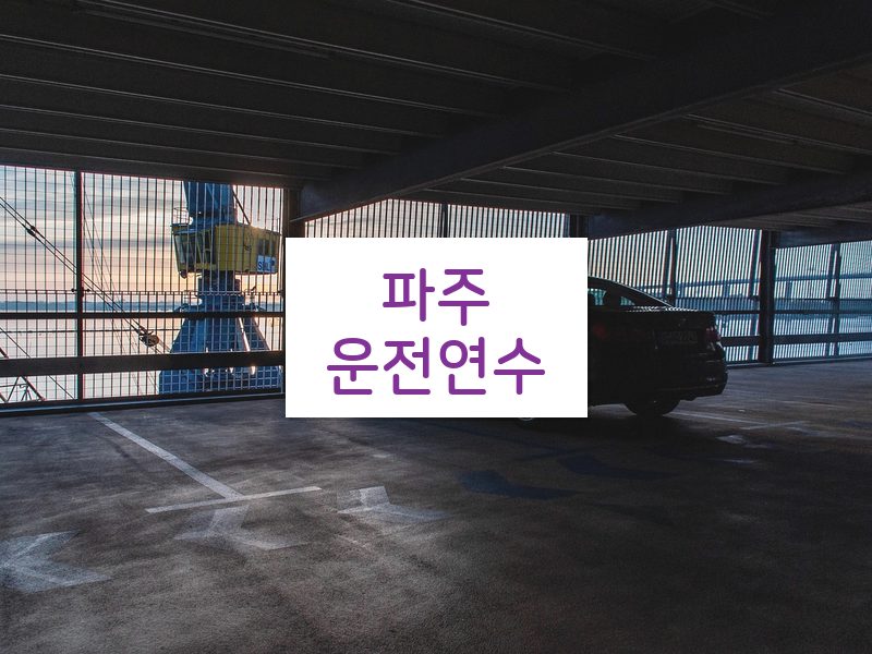 파주운전연수 후기