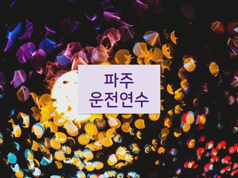 파주운전연수 후기