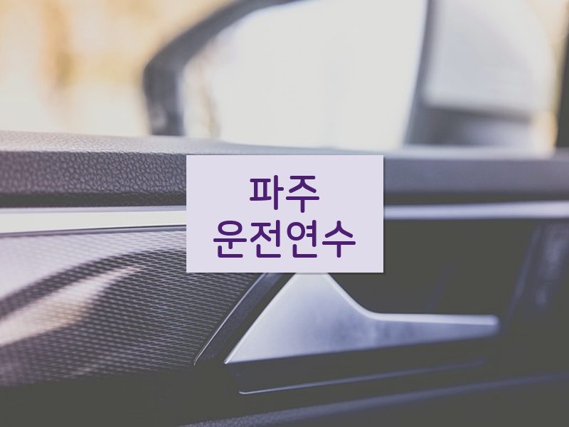 파주운전연수 후기