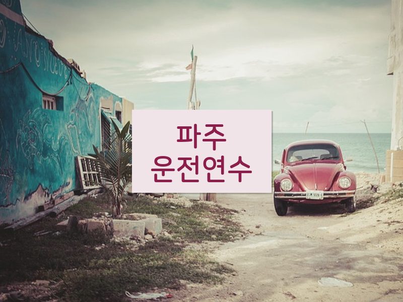 파주운전연수 후기