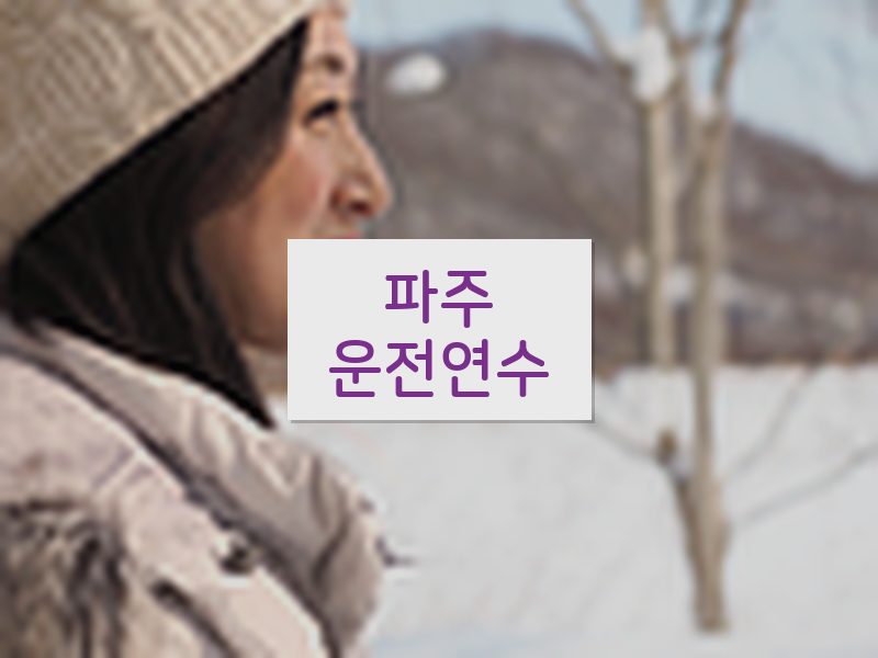 파주운전연수 후기