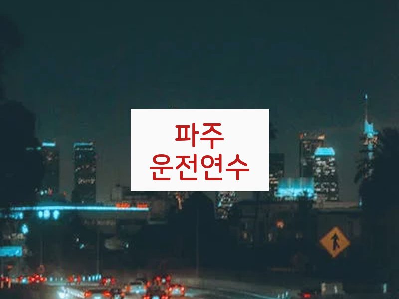 파주운전연수 후기