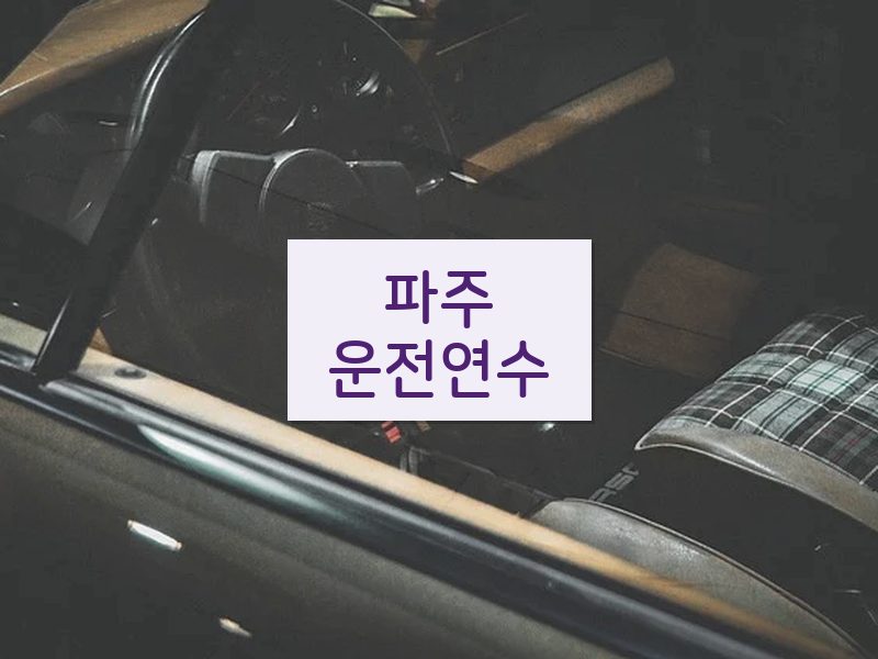 파주운전연수 후기