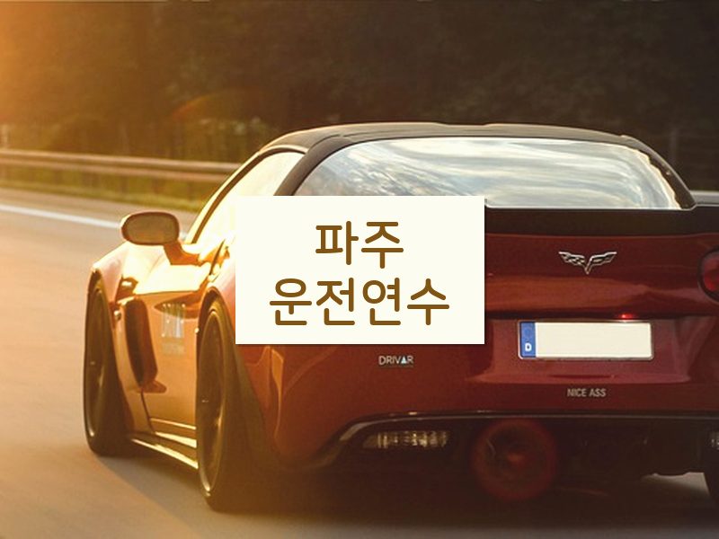 파주운전연수 후기