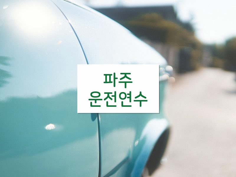 파주운전연수 후기