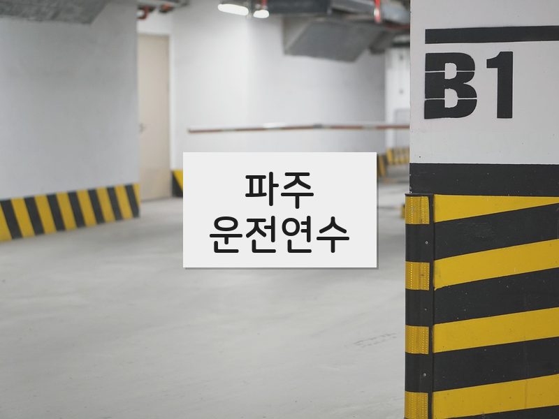 파주운전연수 후기