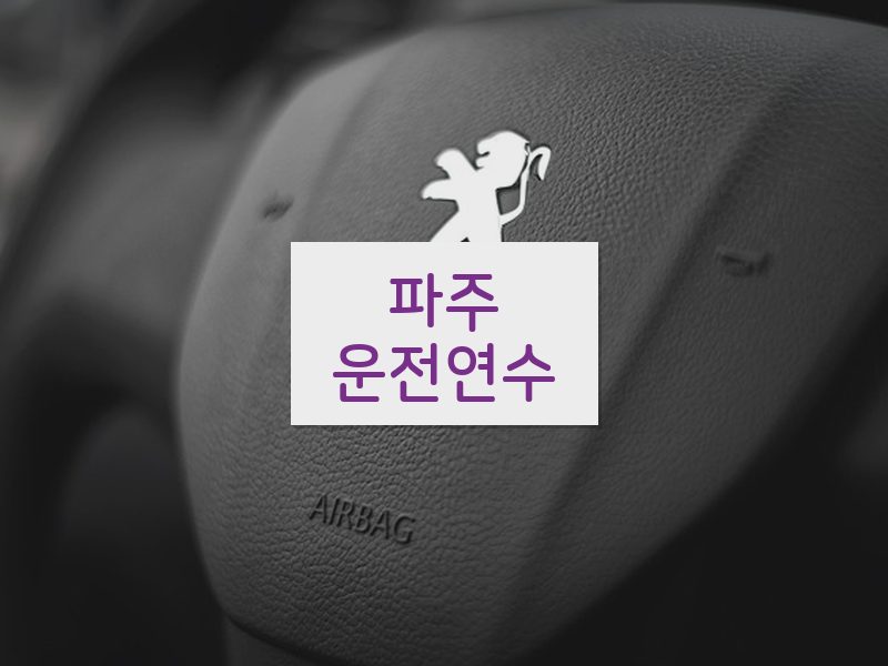 파주운전연수 후기