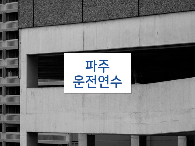 파주운전연수 후기