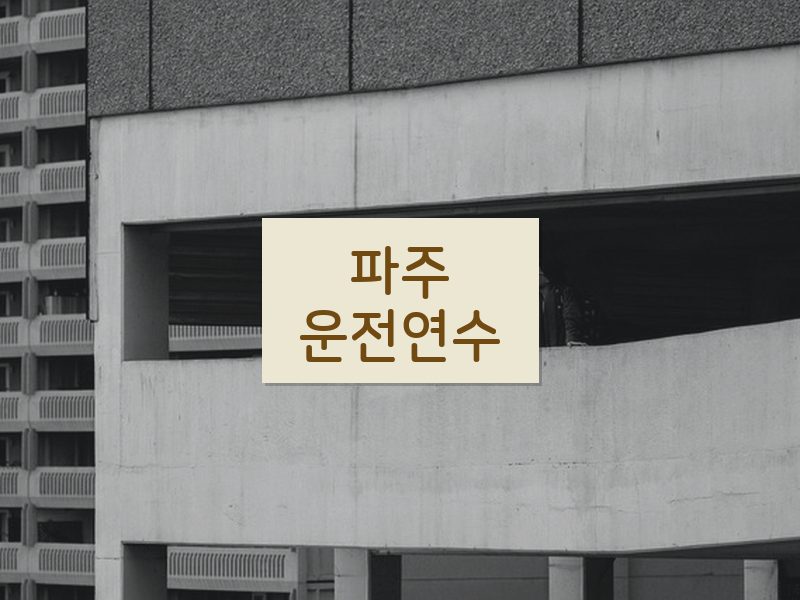 파주운전연수 후기
