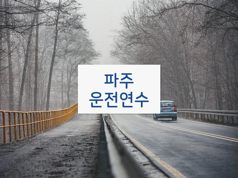 파주운전연수 후기