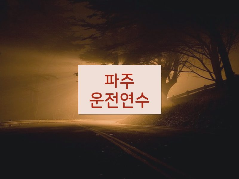 파주운전연수 후기