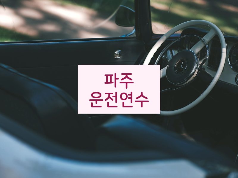 파주운전연수 후기