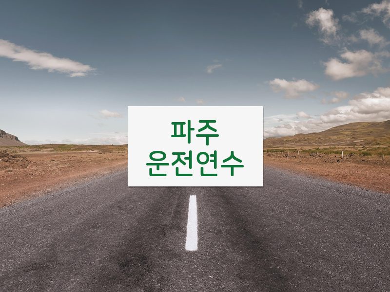 파주운전연수 후기