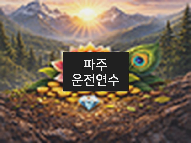파주운전연수 후기