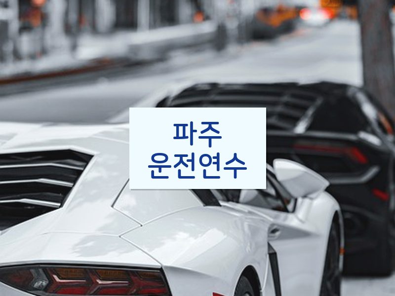 파주운전연수 후기