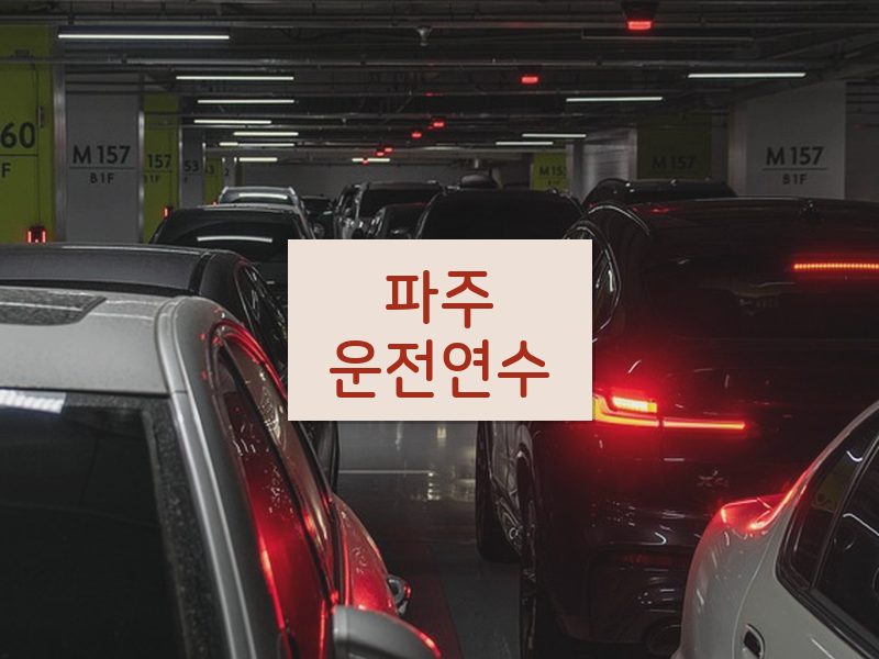 파주운전연수 후기