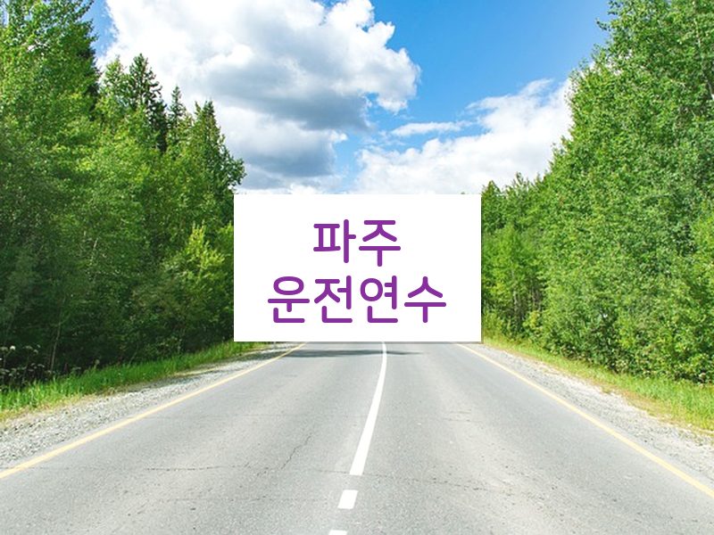 파주운전연수 후기