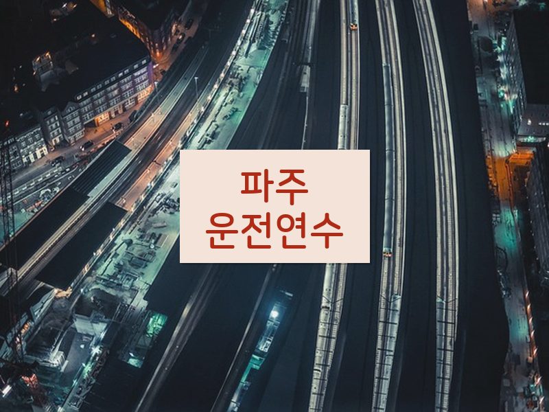 파주운전연수 후기