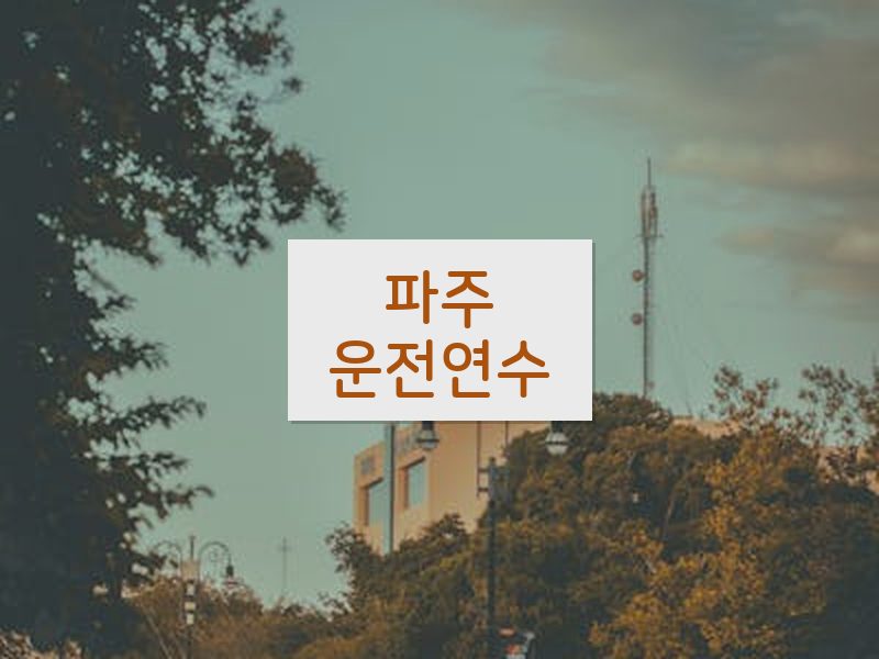 파주운전연수 후기