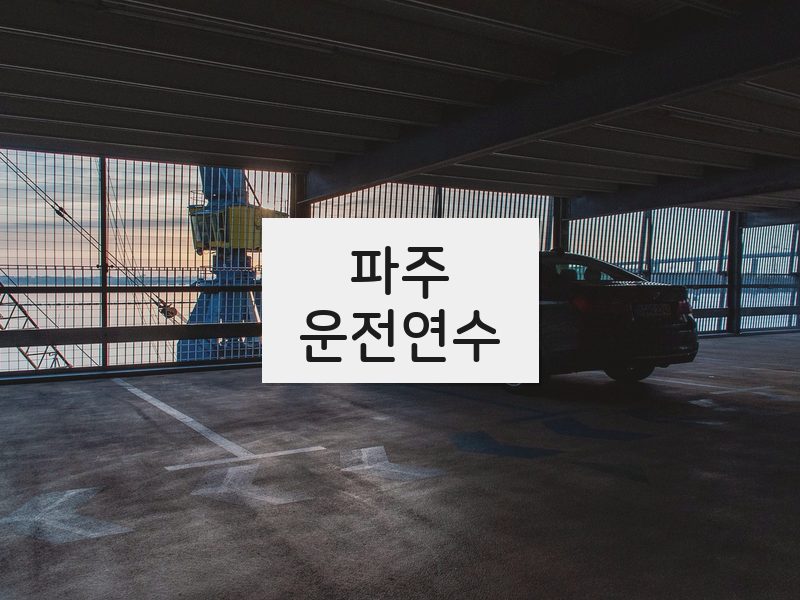 파주운전연수 후기