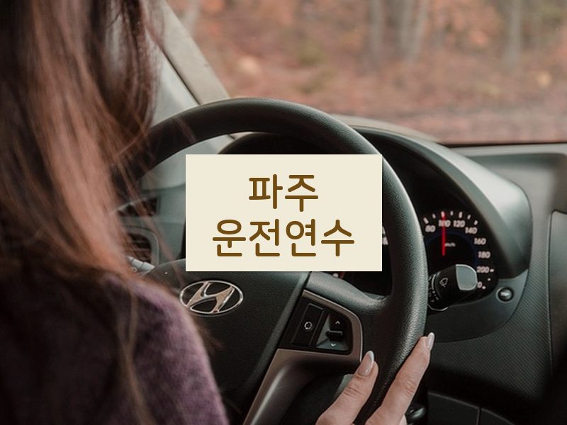 파주운전연수 후기