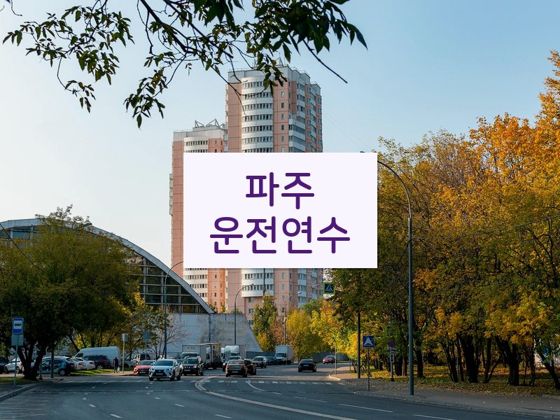 파주운전연수 후기