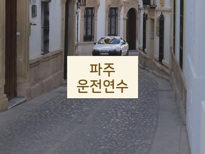 파주운전연수 후기