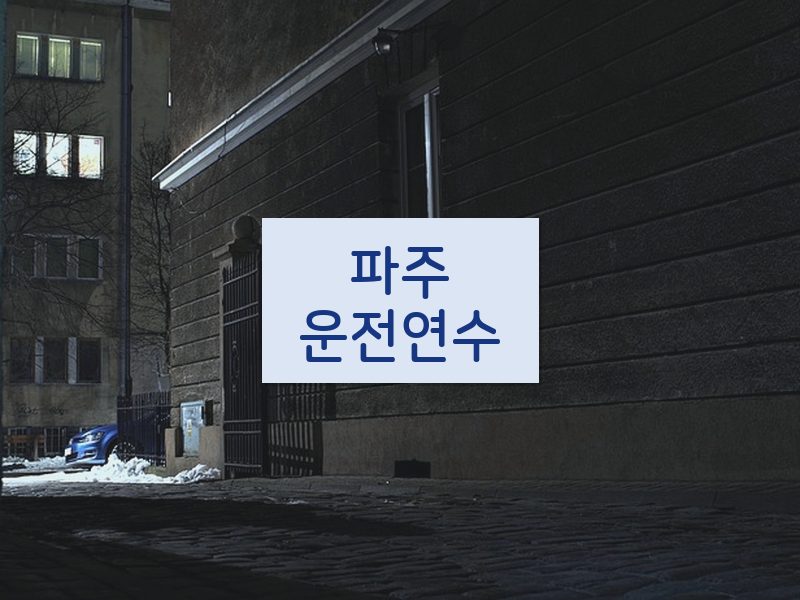 파주운전연수 후기