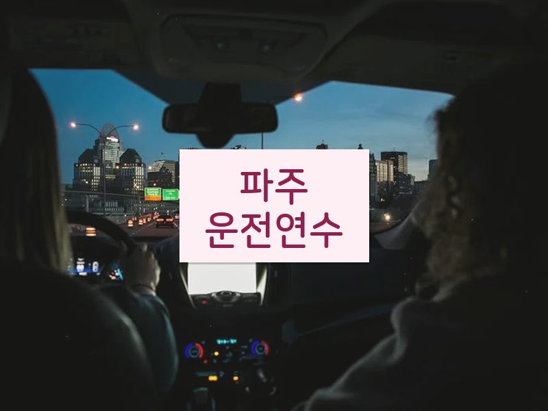 파주운전연수 후기
