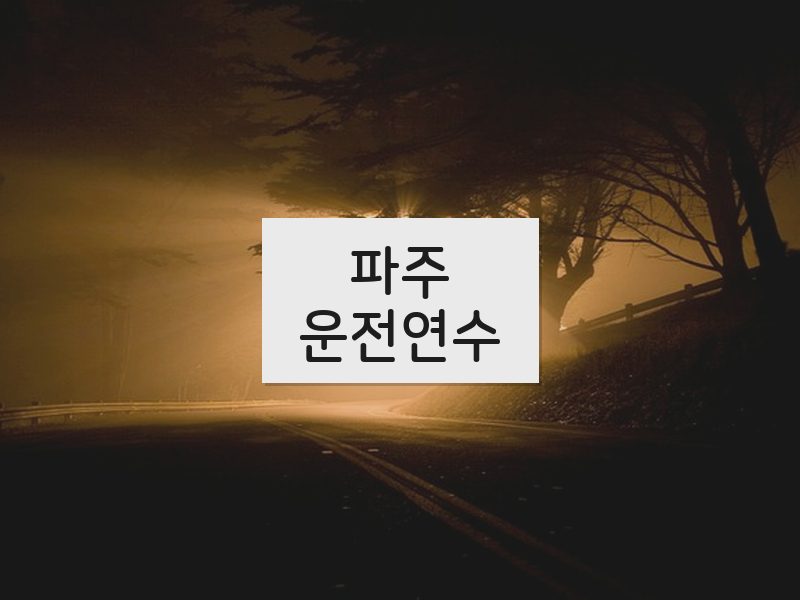 파주운전연수 후기