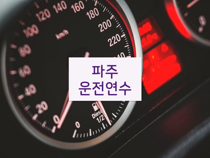 파주운전연수 후기