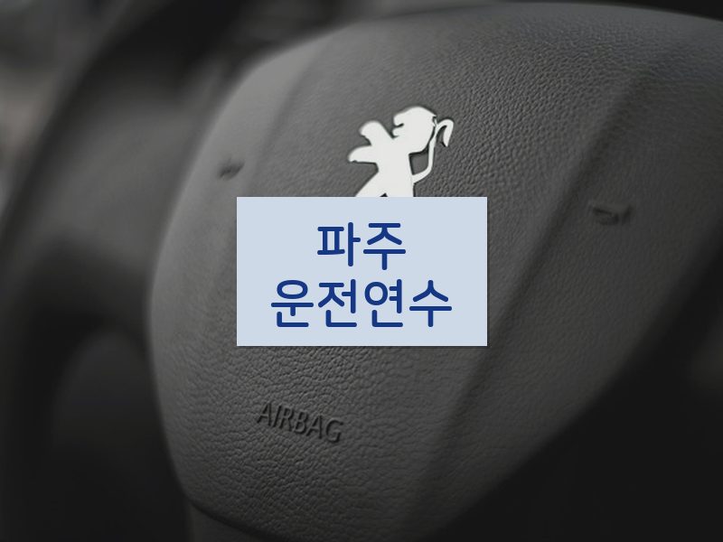 파주운전연수 후기