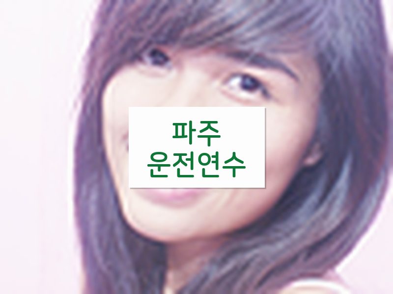 파주운전연수 후기