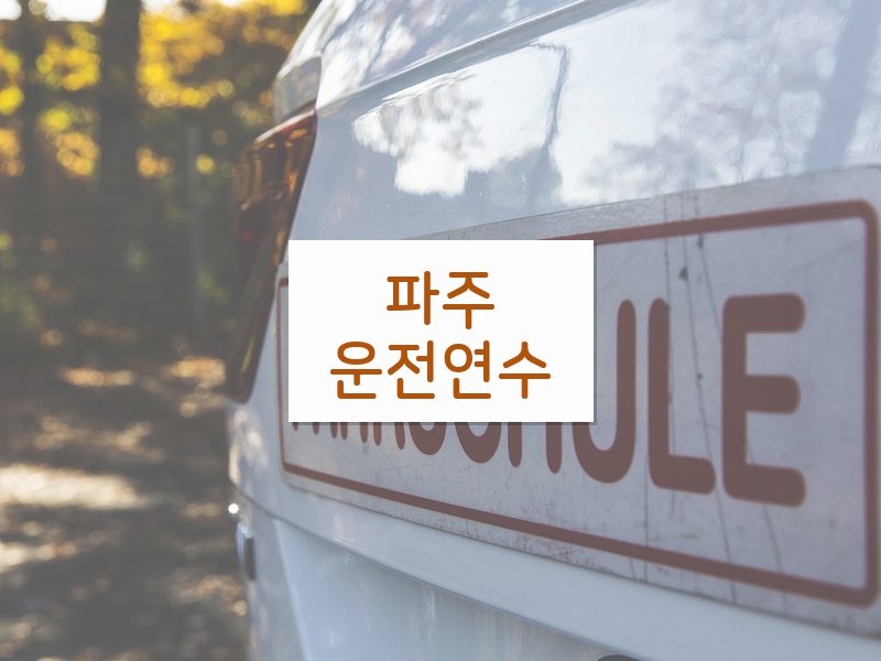 파주운전연수 후기