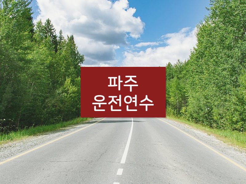 파주운전연수 후기