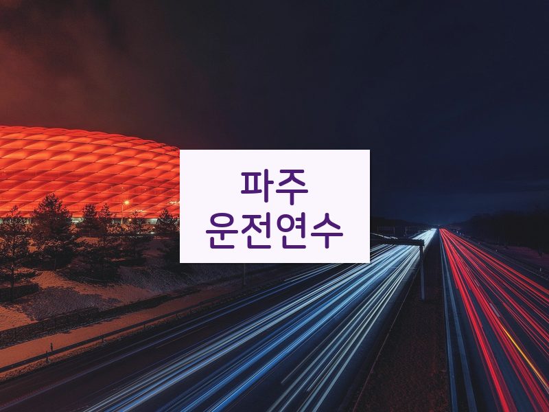 파주운전연수 후기