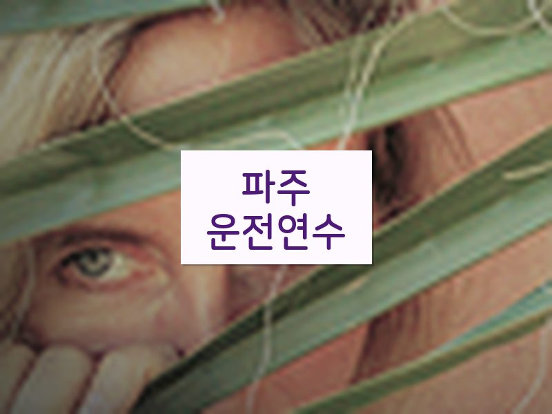 파주운전연수 후기