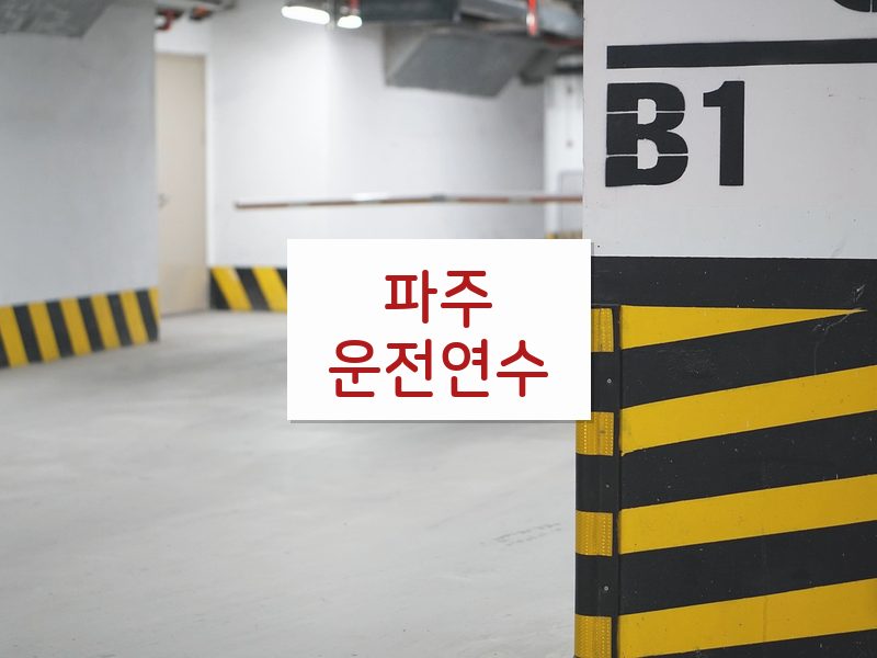 파주운전연수 후기