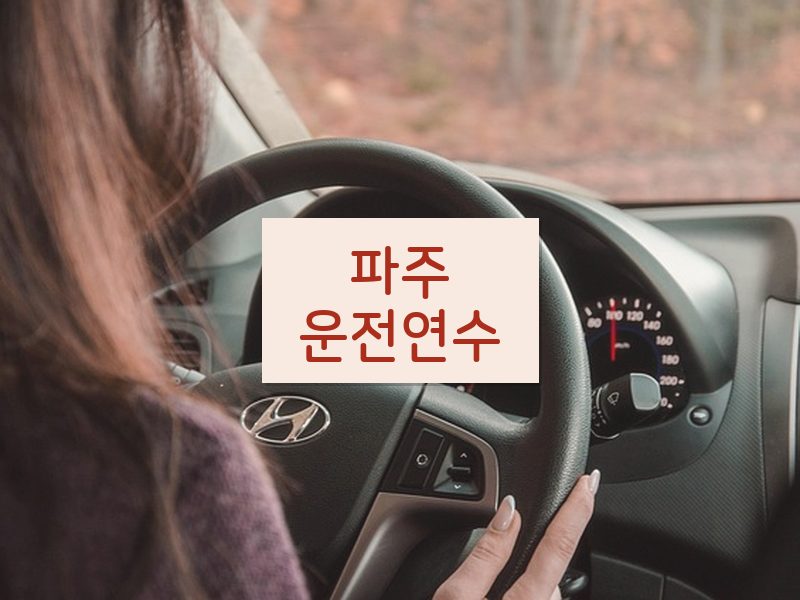 파주운전연수 후기