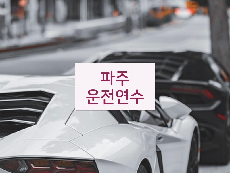 파주운전연수 후기