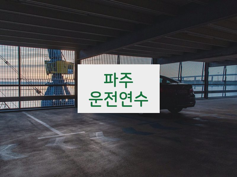 파주운전연수 후기