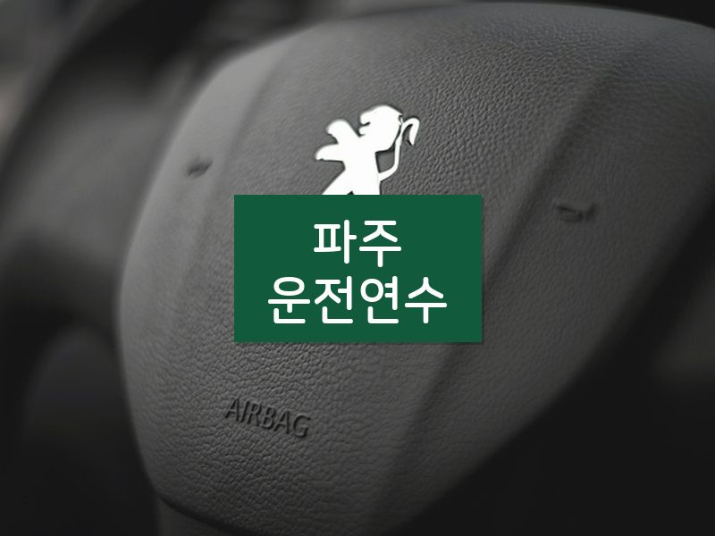 파주운전연수 후기