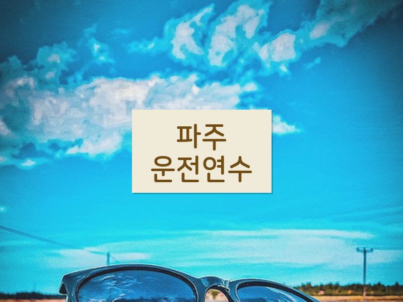 파주운전연수 후기