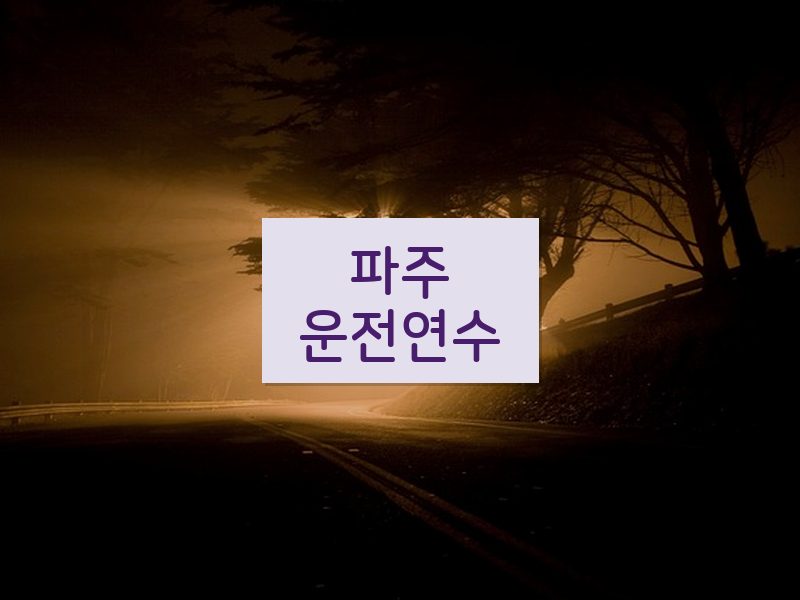 파주운전연수 후기