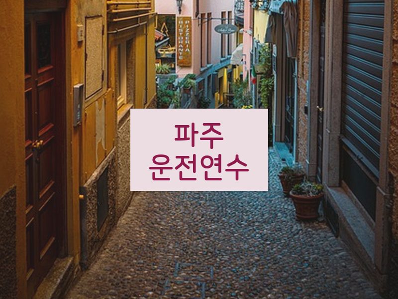 파주운전연수 후기